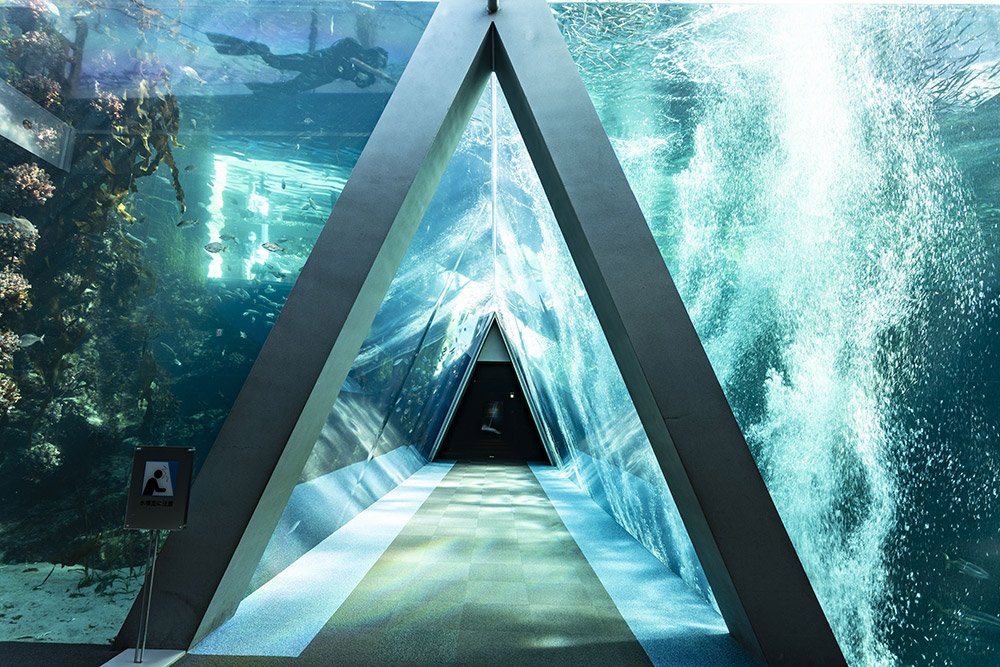 🐠 아쿠아마린 후쿠시마 (아쿠아마린 후쿠시마)